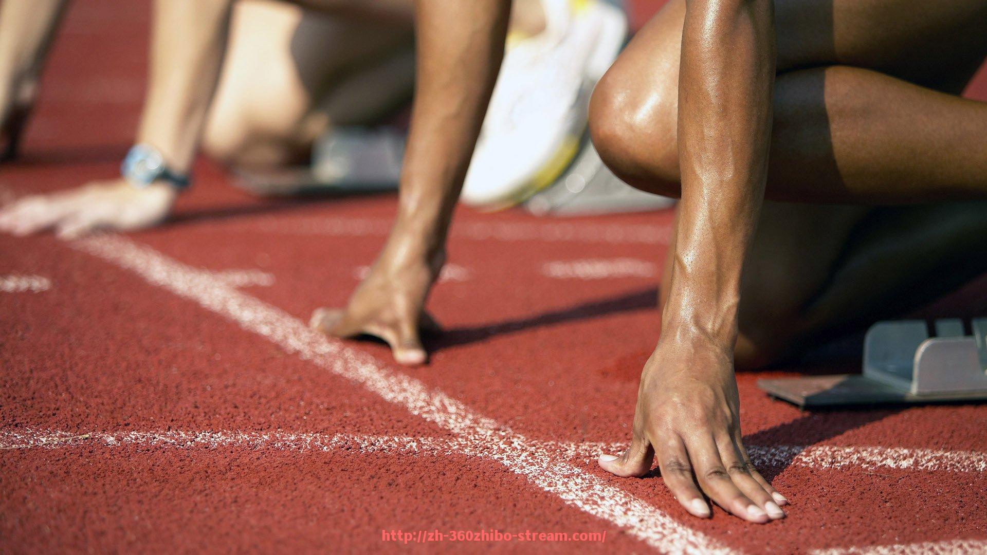 360直播-世俱杯赛事筹备工作流程与责任划分详解